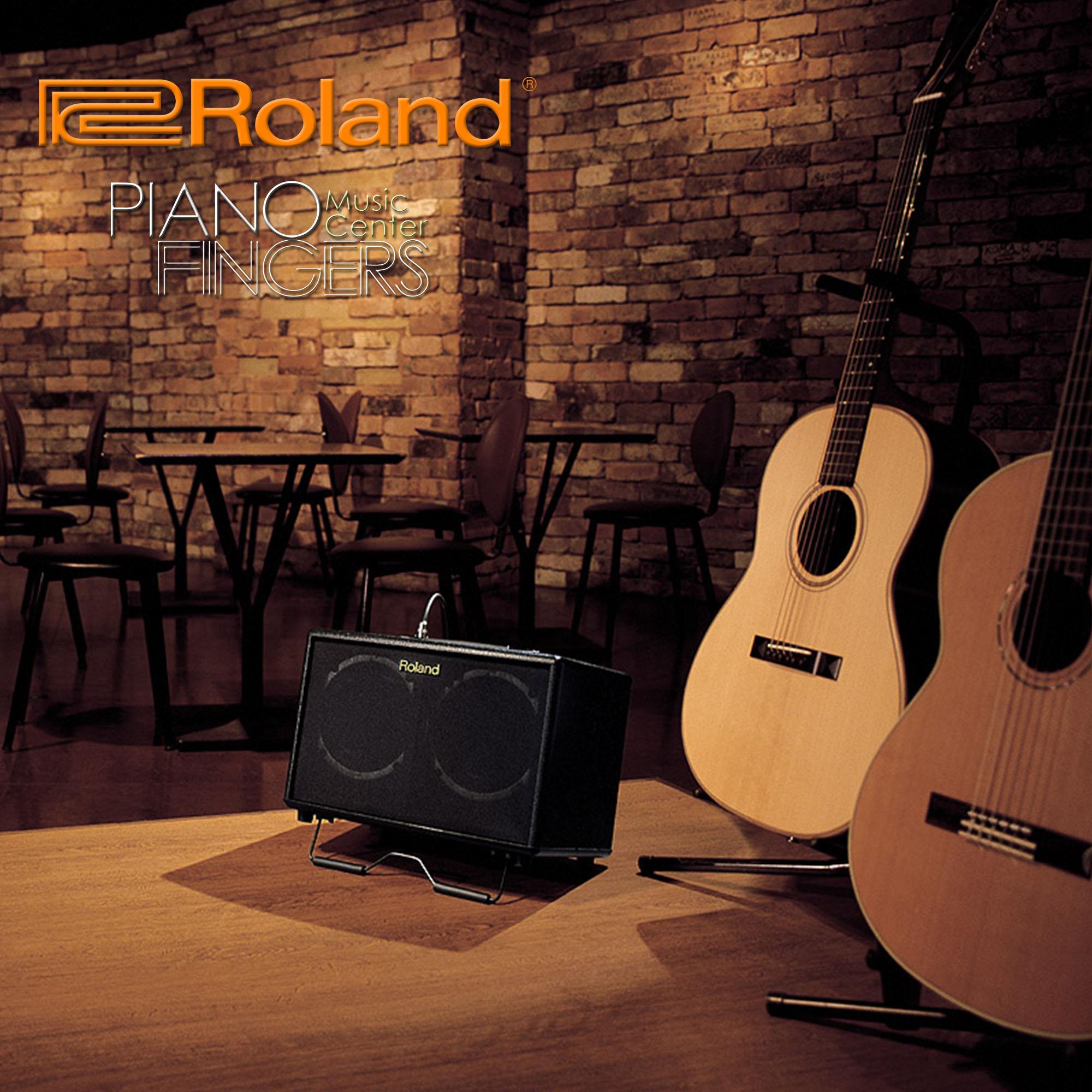 Roland AC40 (AC-40)
