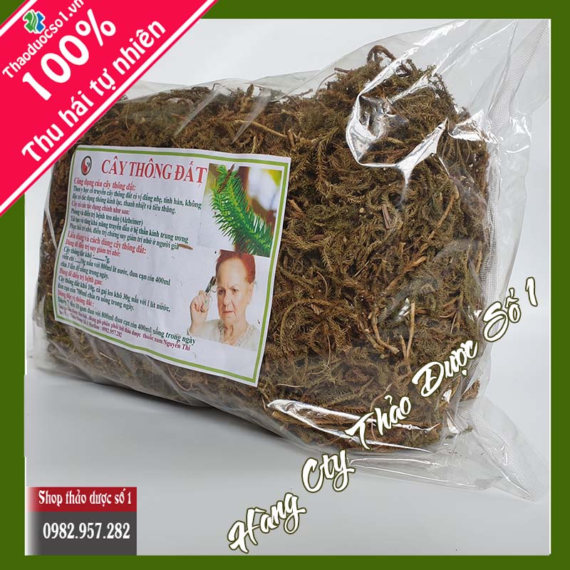 1kg cây thông đất SO1