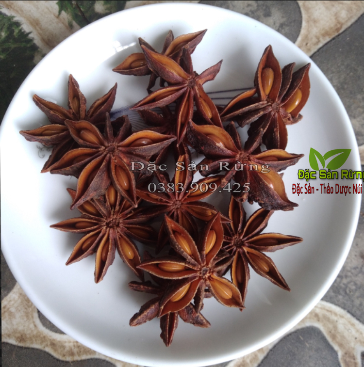 Hoa Hồi Khô Lạng Sơn - Đặc Sản Rừng ( 100gr )