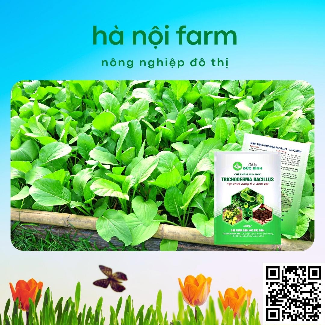 Men ủ sinh học TRICHODERMA BACILILUS gói 200g, tricho đức bình