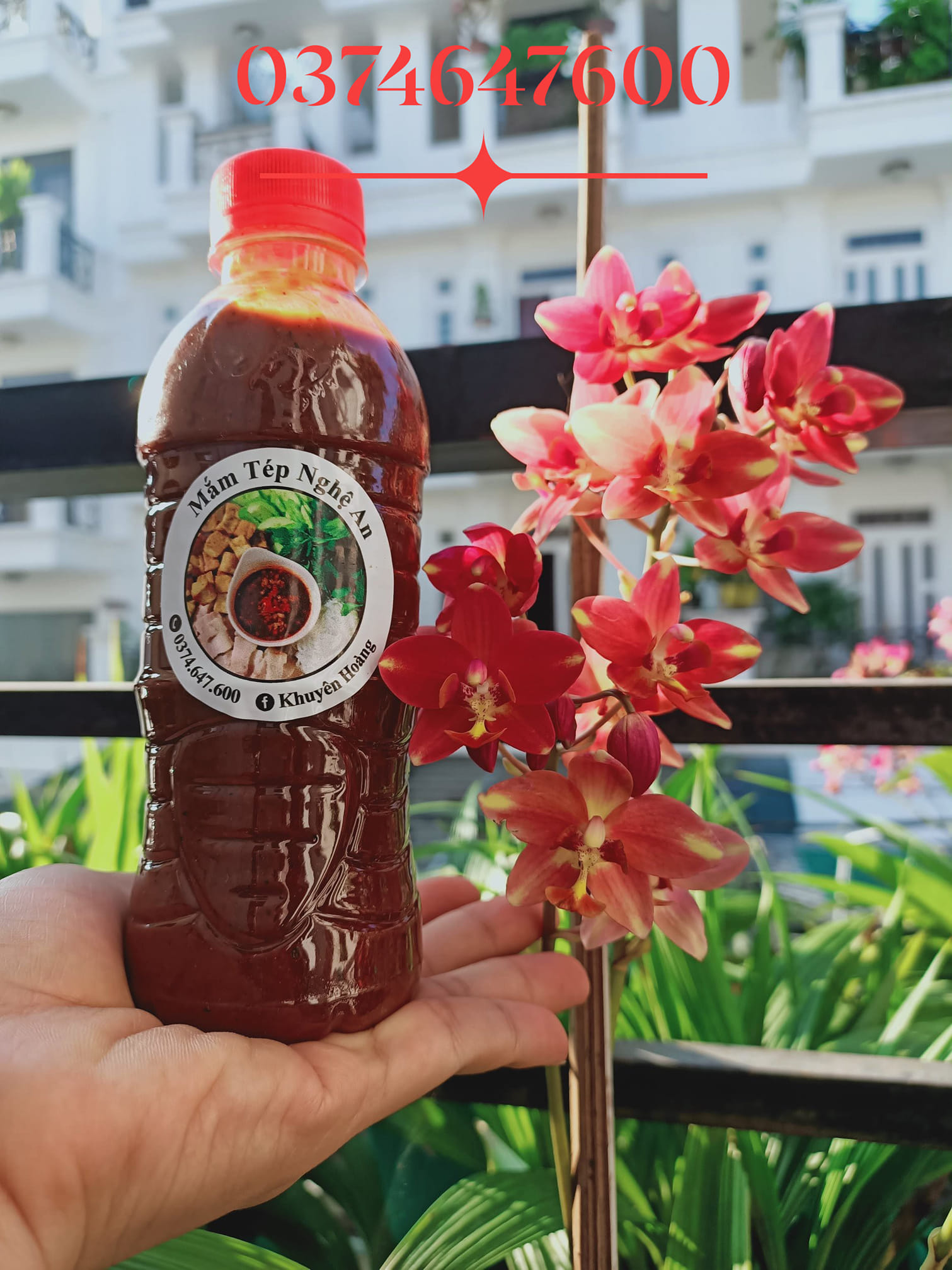 [HCM]Mắm tép Nghệ An