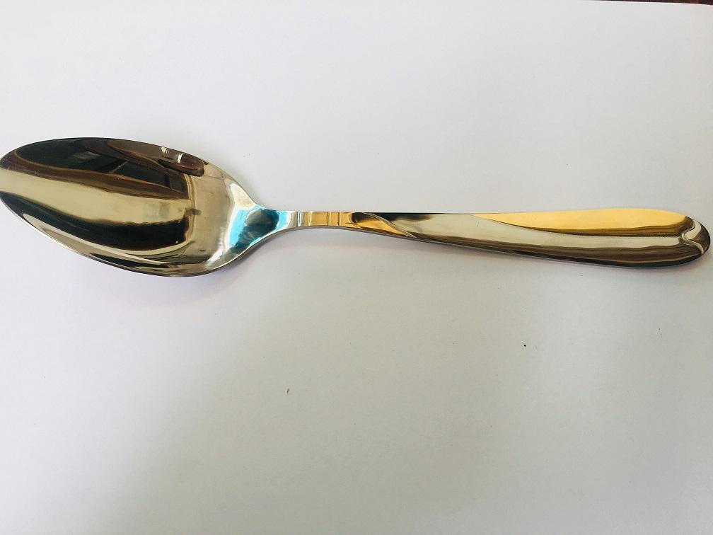 [HCM]Muỗng Inox Cán Dài Kiểu Âu (5 cái)