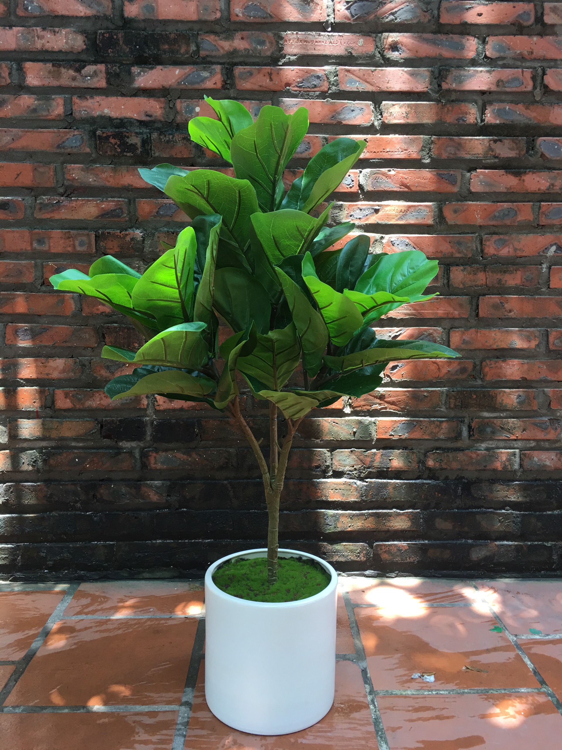 Cây Giả Decor- Cây Giả Để Phòng Lakido