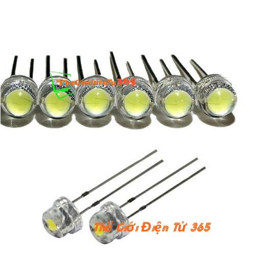 BỘ 20 LED LÙN 8MM TRẮNG