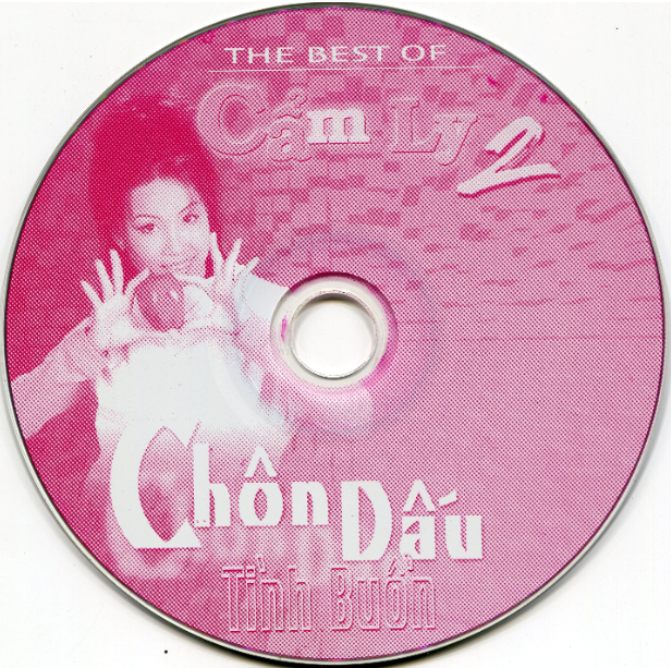 BDCD60 - Chôn dấu tình buồn - Cẩm Ly 2
