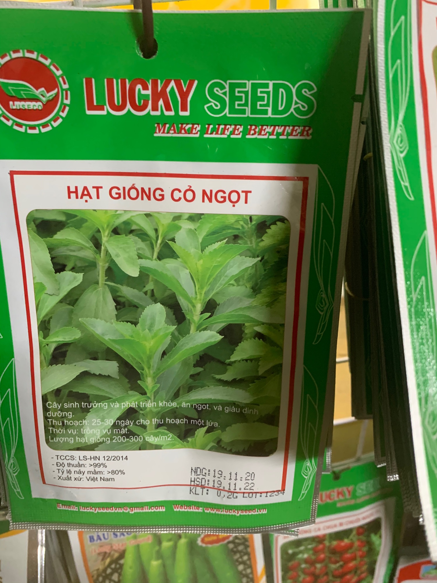 Hạt giống cỏ ngọt LUCKY SEEDS