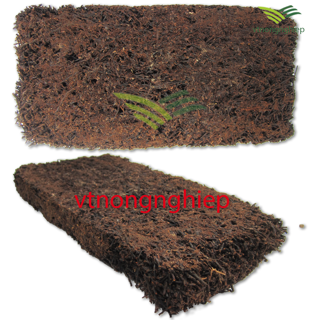 Dớn bảng trồng lan, kích thước 30x15x2.5cm, giữ ẩm tốt, thoát nước nhanh, ít đọng muối, thoáng bộ rễ, thích hợp cho các loại hoa lan