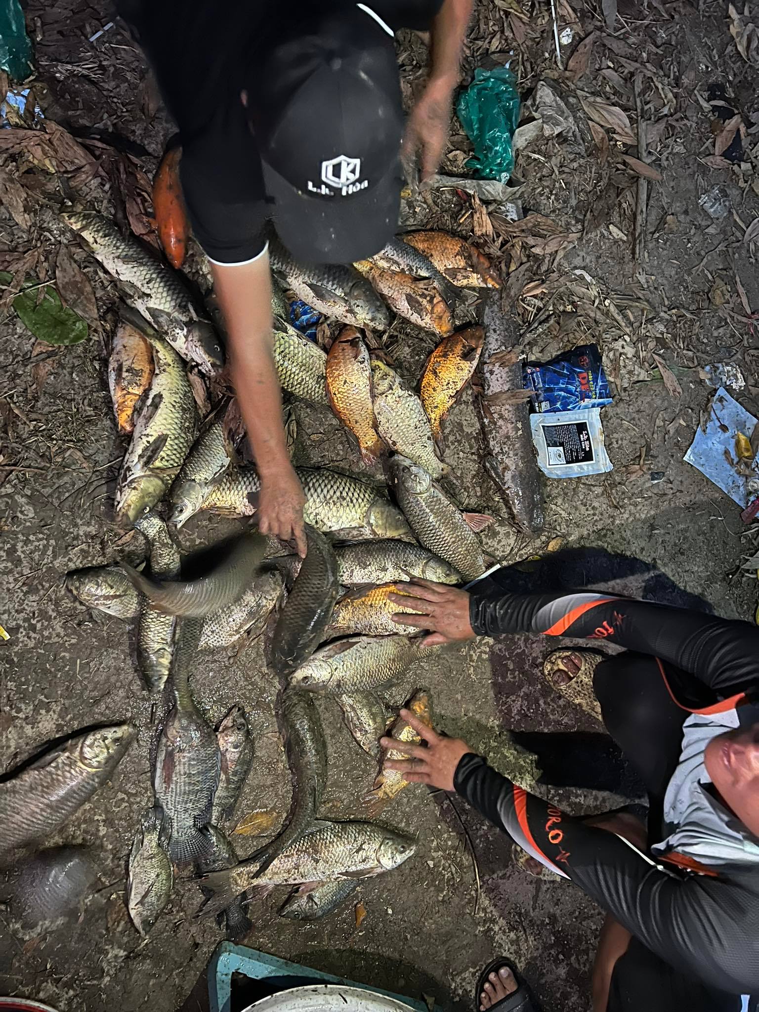 Thính LK Hòa Câu Cá Tổng Hợp - DUYFISHING