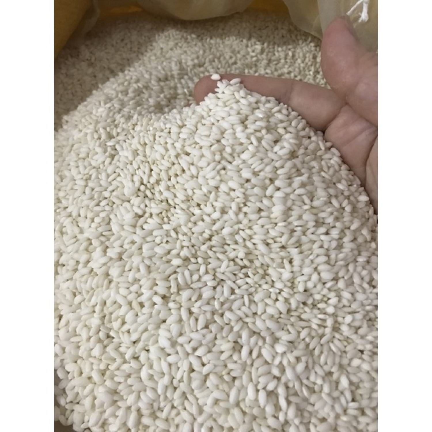 2kg nếp cái hoa vàng dẻo thơm