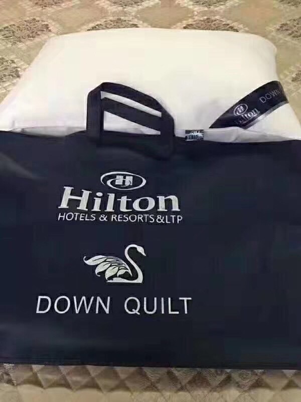 Bộ 2 Ruột Gối hilton Cao Cấp Chuẩn 5 sao