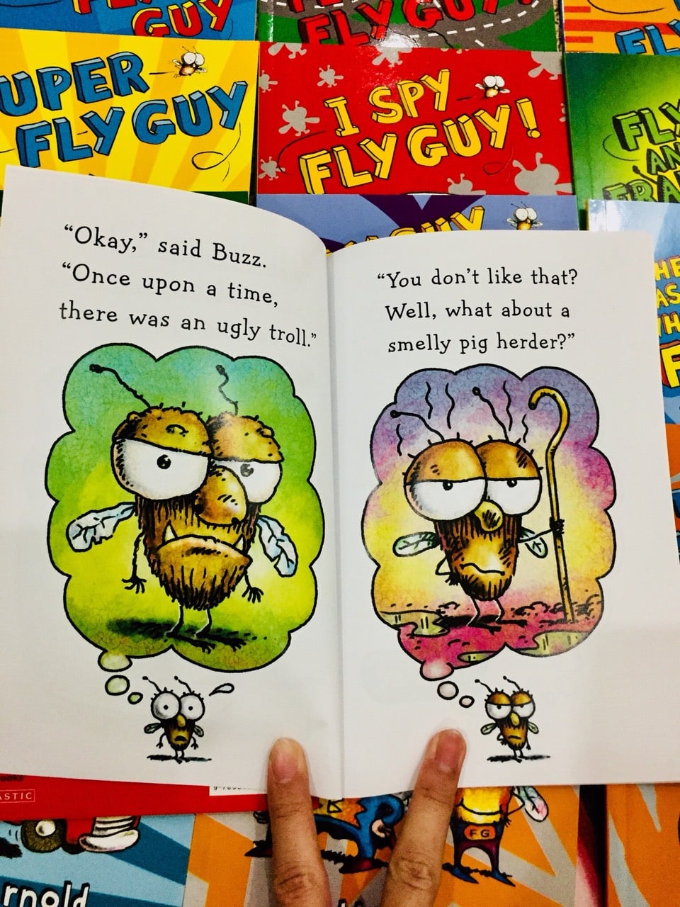 Fly Guy