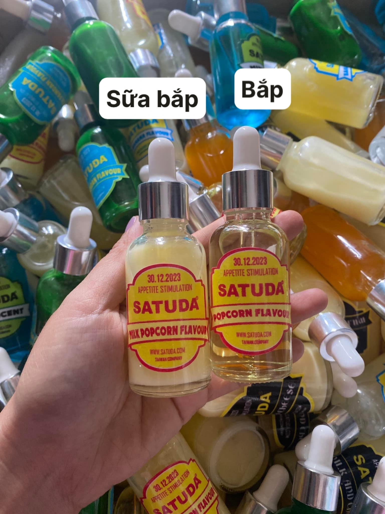 TINH MÙI CÂU CÁ SATUDA