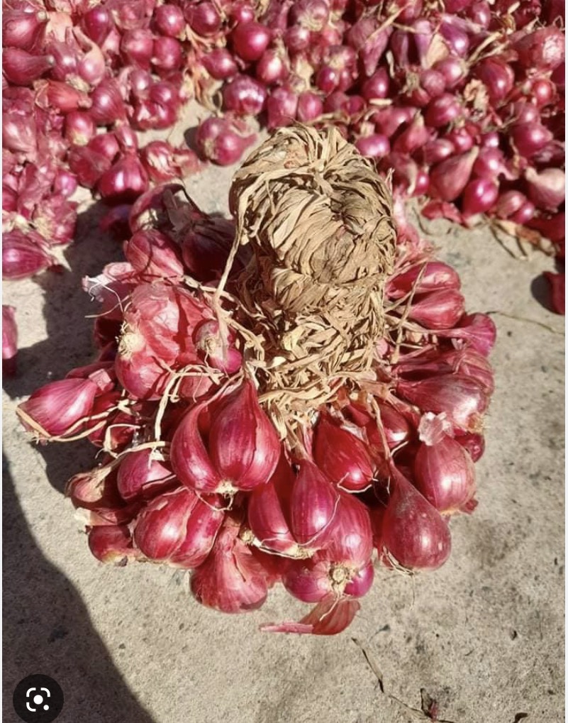 Hành tím khô Phan Rang -  Thơm - 1kg