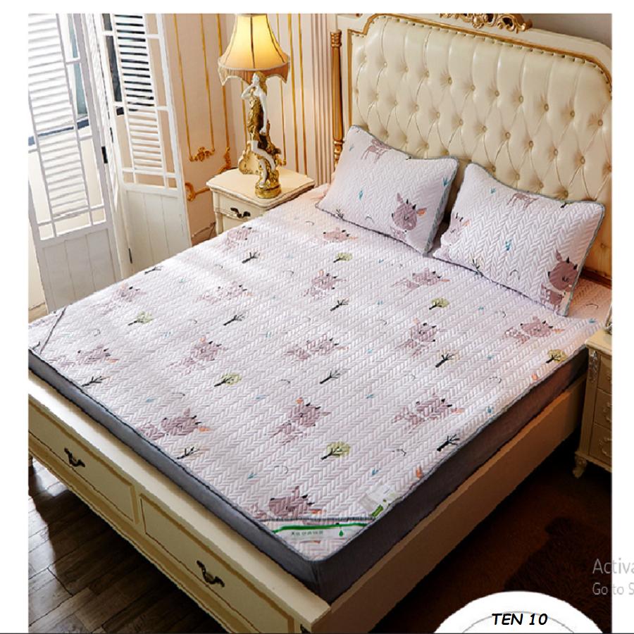 [HCM]Chiếu Lụa Điều Hòa Tencel Cao Cấp AT-Shop