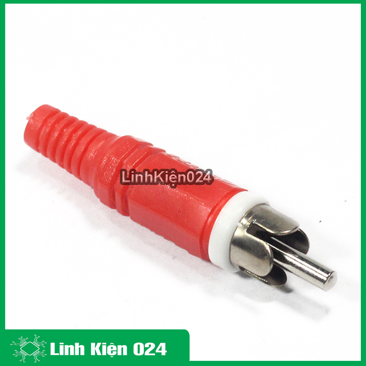 Jack hoa sen đực màu vàng/đỏ