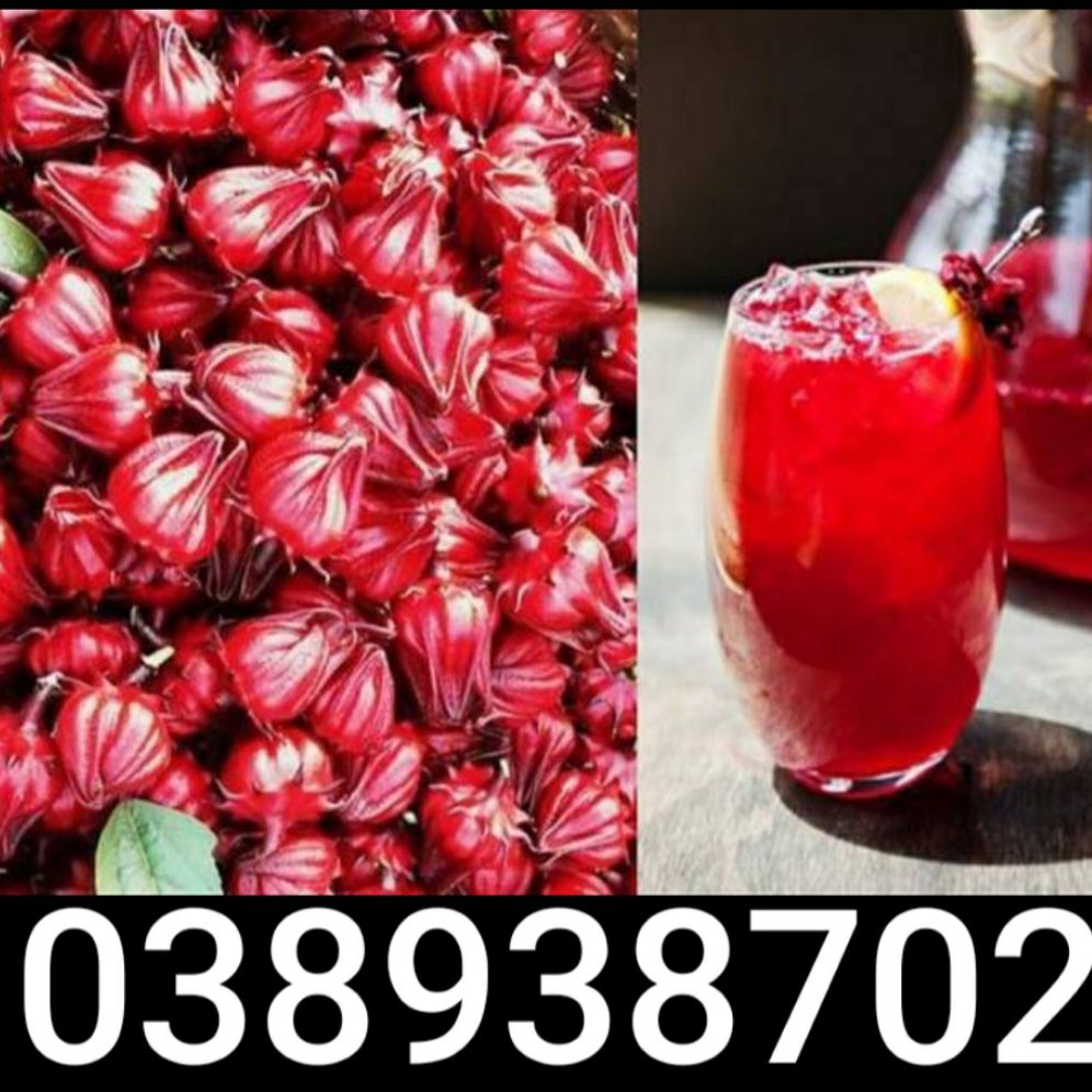 500g atiso đỏ tươi