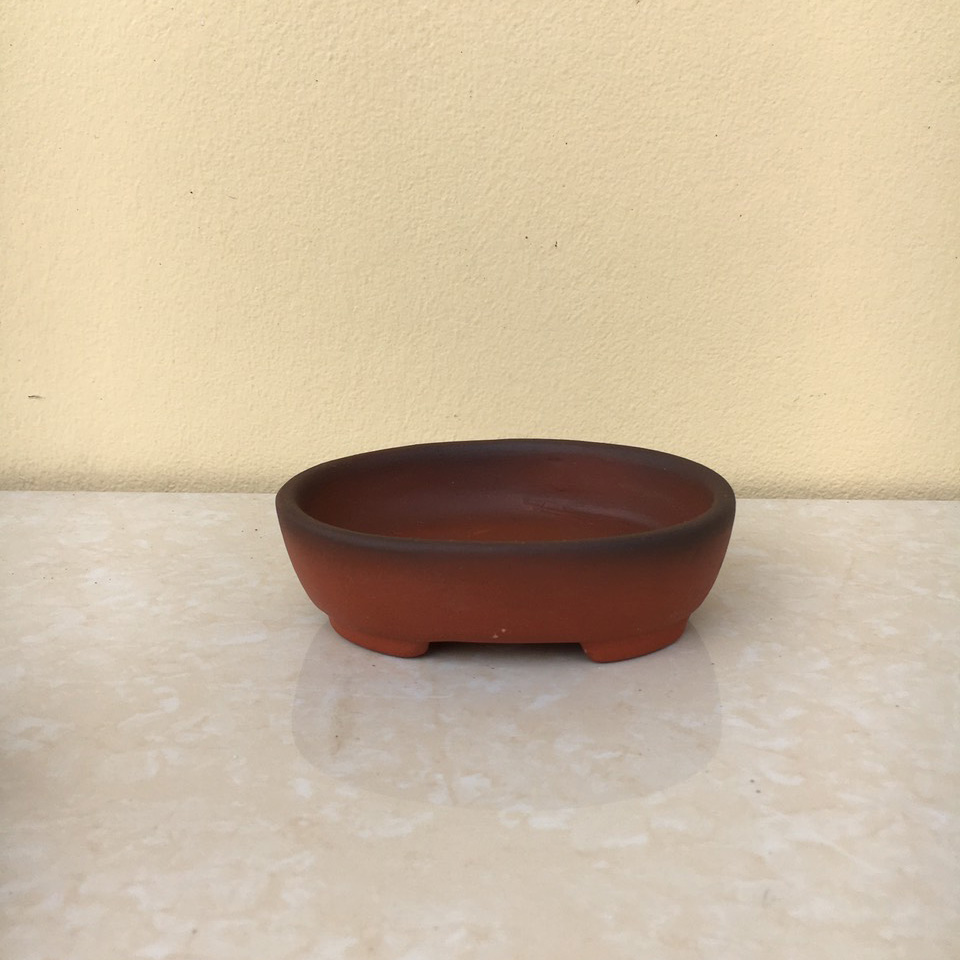 Chậu bonsai Ovan đất nung mini gốm Bát tràng 1 size BM-69