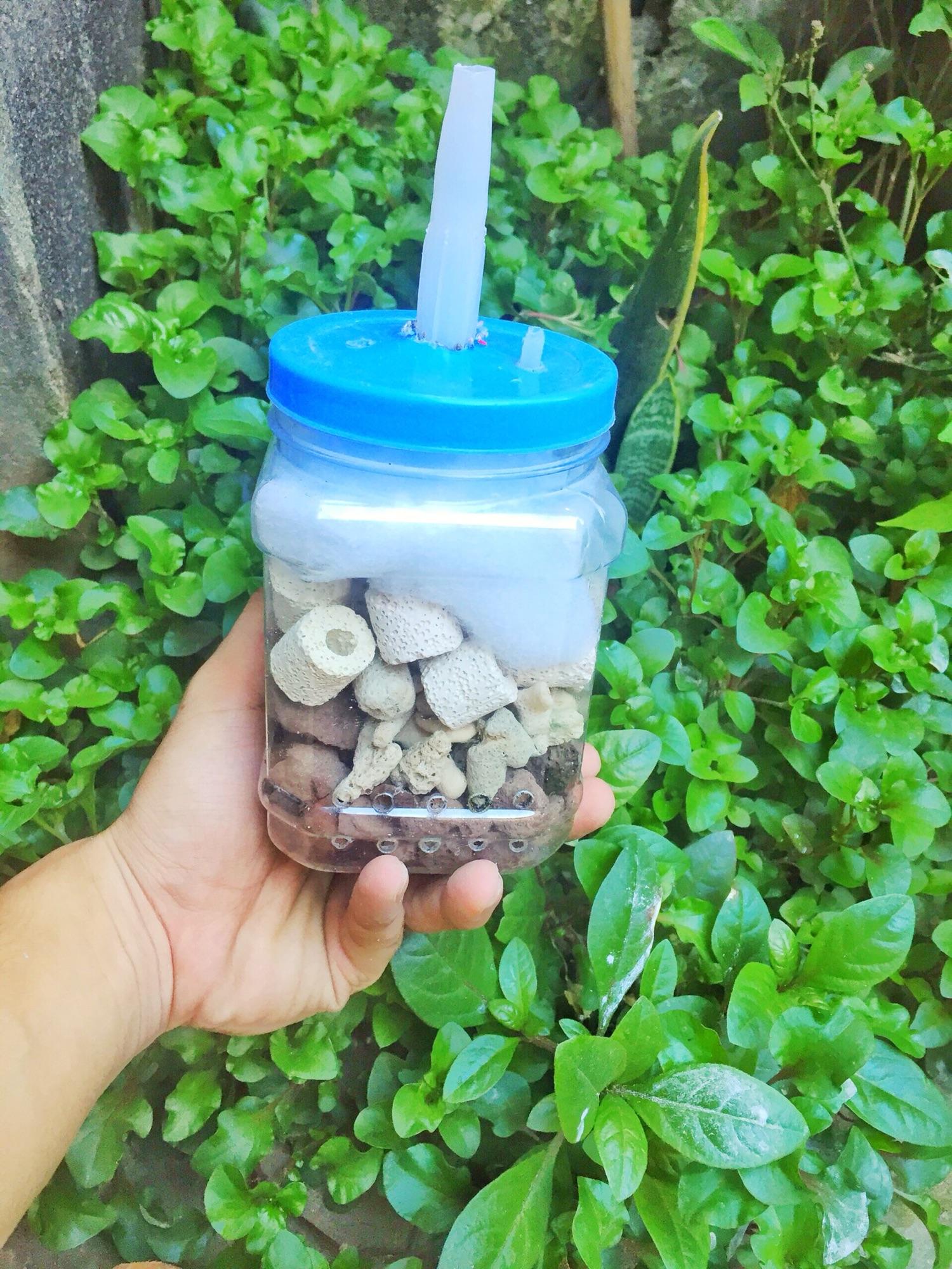 Lọc vi sinh tự chế dành cho hồ cá cảnh