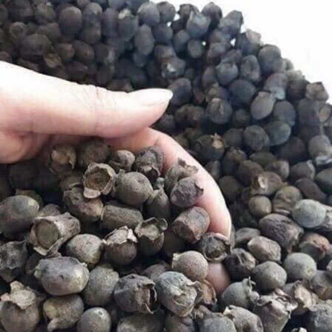 1,5kg quả sim rừng khô