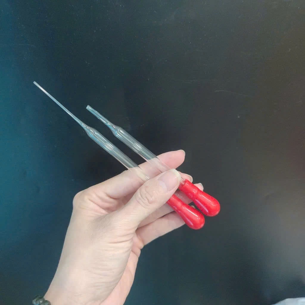 [HCM]Pipet paster ống hút thủy tinh đã có núm bóp