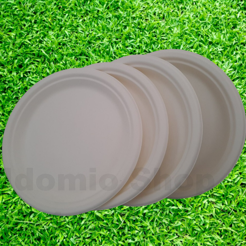 Dĩa Giấy 23cm Bả Mía Thân Thiện Môi Trường -10 Cái/Xấp