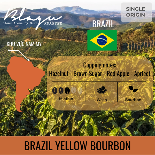 Cà Phê Blagu Hạt Đã Rang, Brazil Yellow Bourbon - Medium Roast - 250g