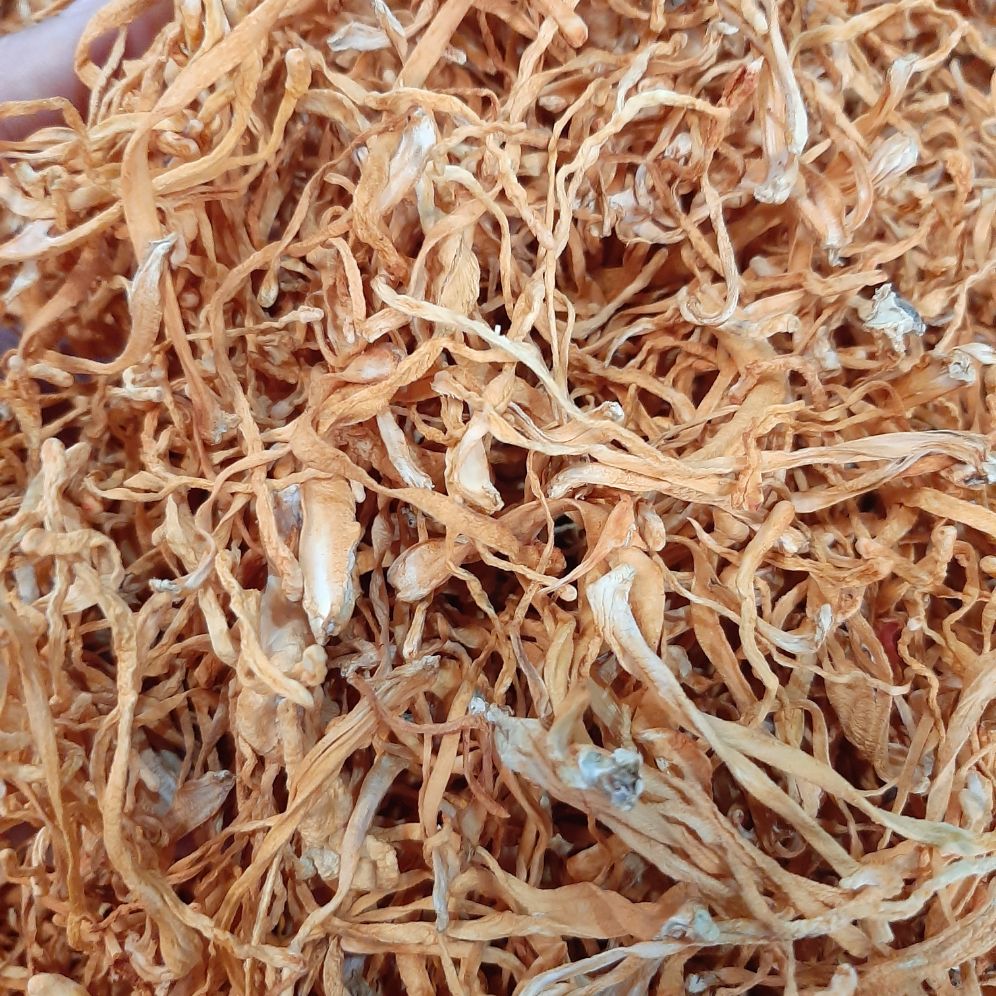 500g Đông trùng hạ thảo khô