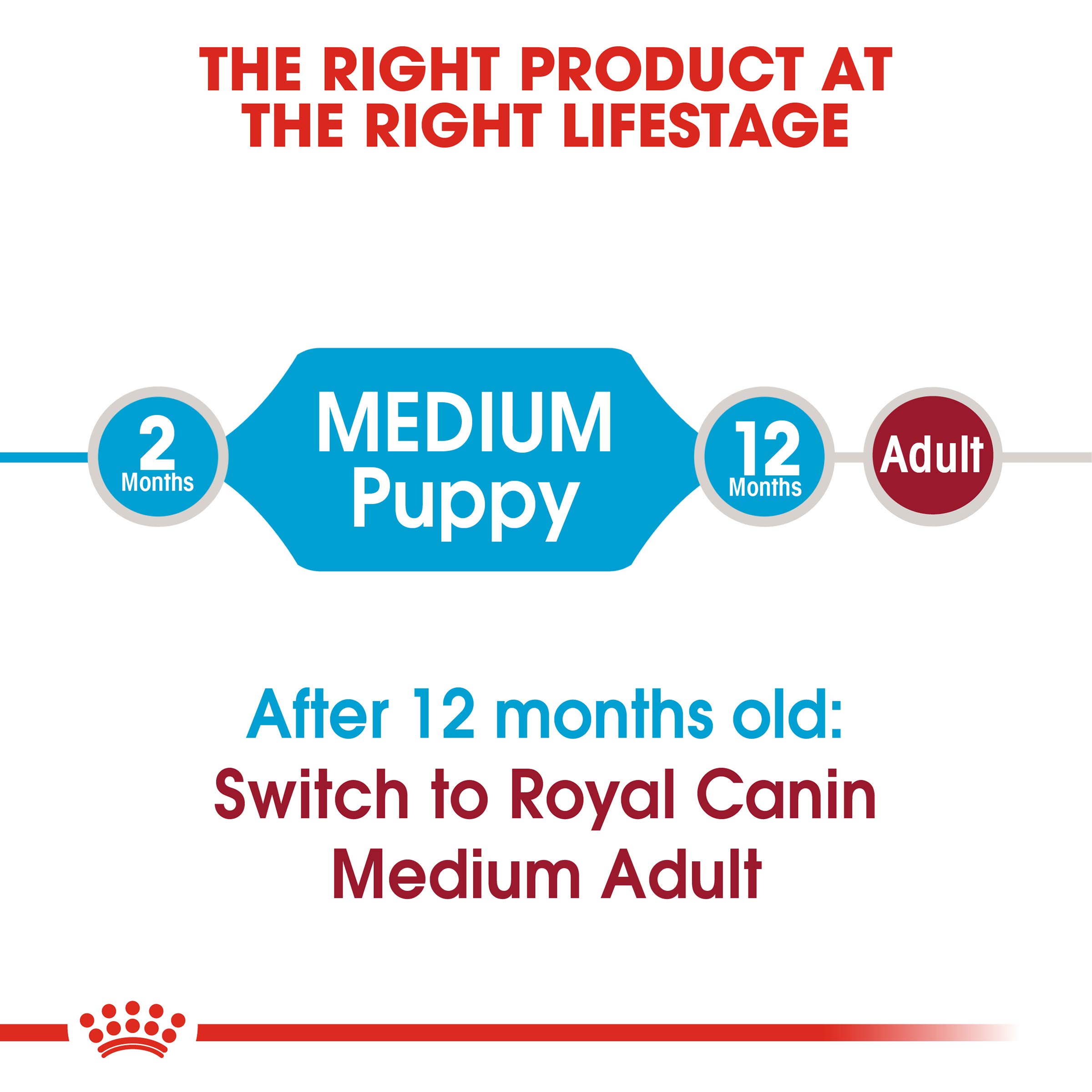 [10kg] Hạt Cho Chó Con Giống Vừa Royal Canin Medium Puppy