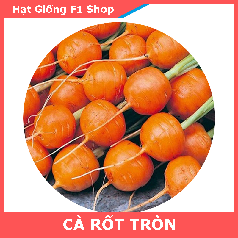 Hạt Giống Cà Rốt Tròn Baby Trồng Chậu