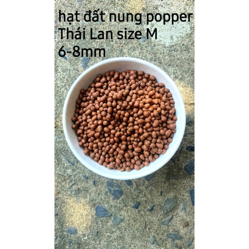 500G Hạt đất nung Viên đất nung