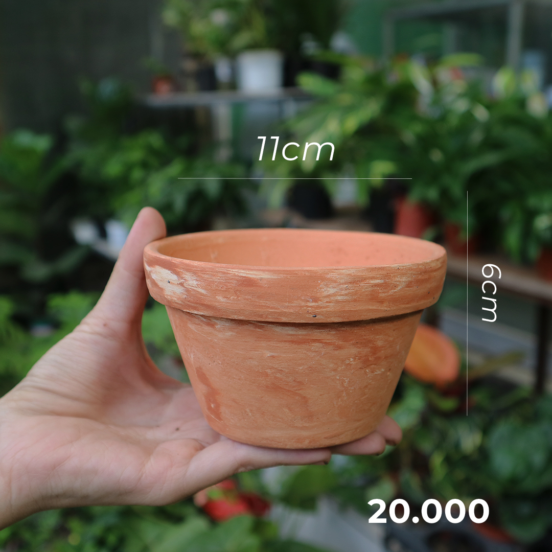 [GÓC THANH LÝ] Chậu đất nung thanh lý cực rẻ nhiều size