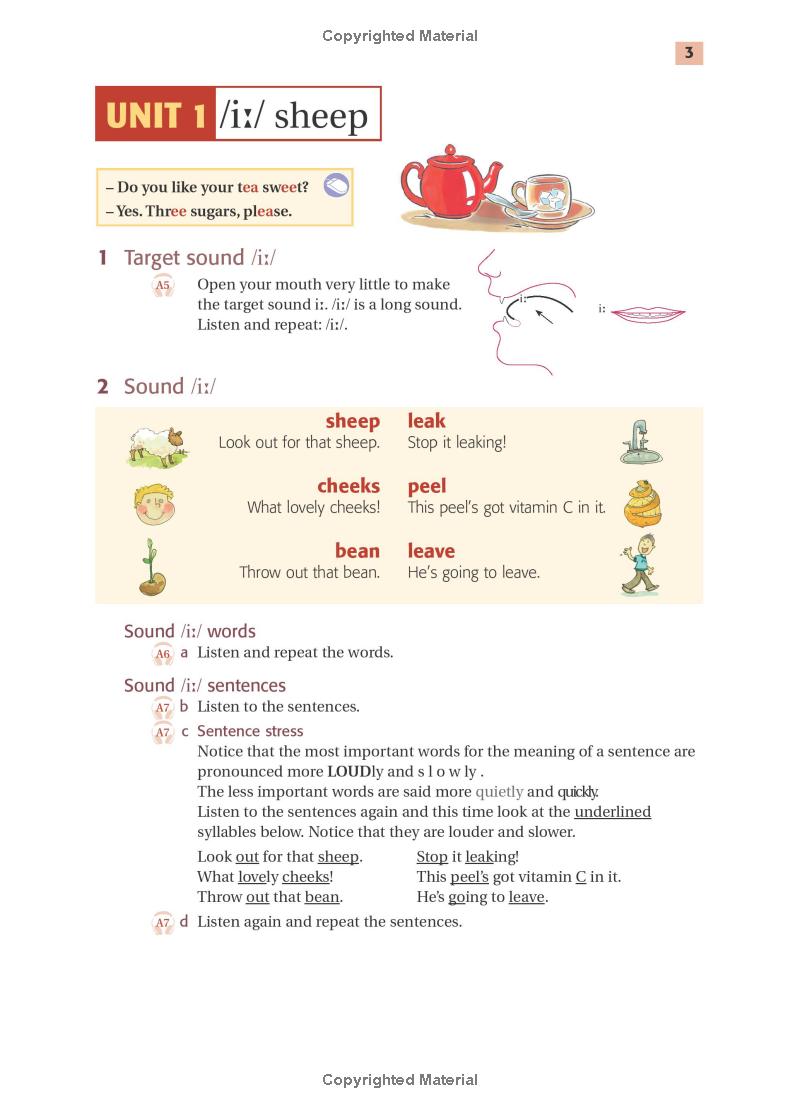 Sách Sách Ship or Sheep Intermediate Pronunciation Course 3rd Edition