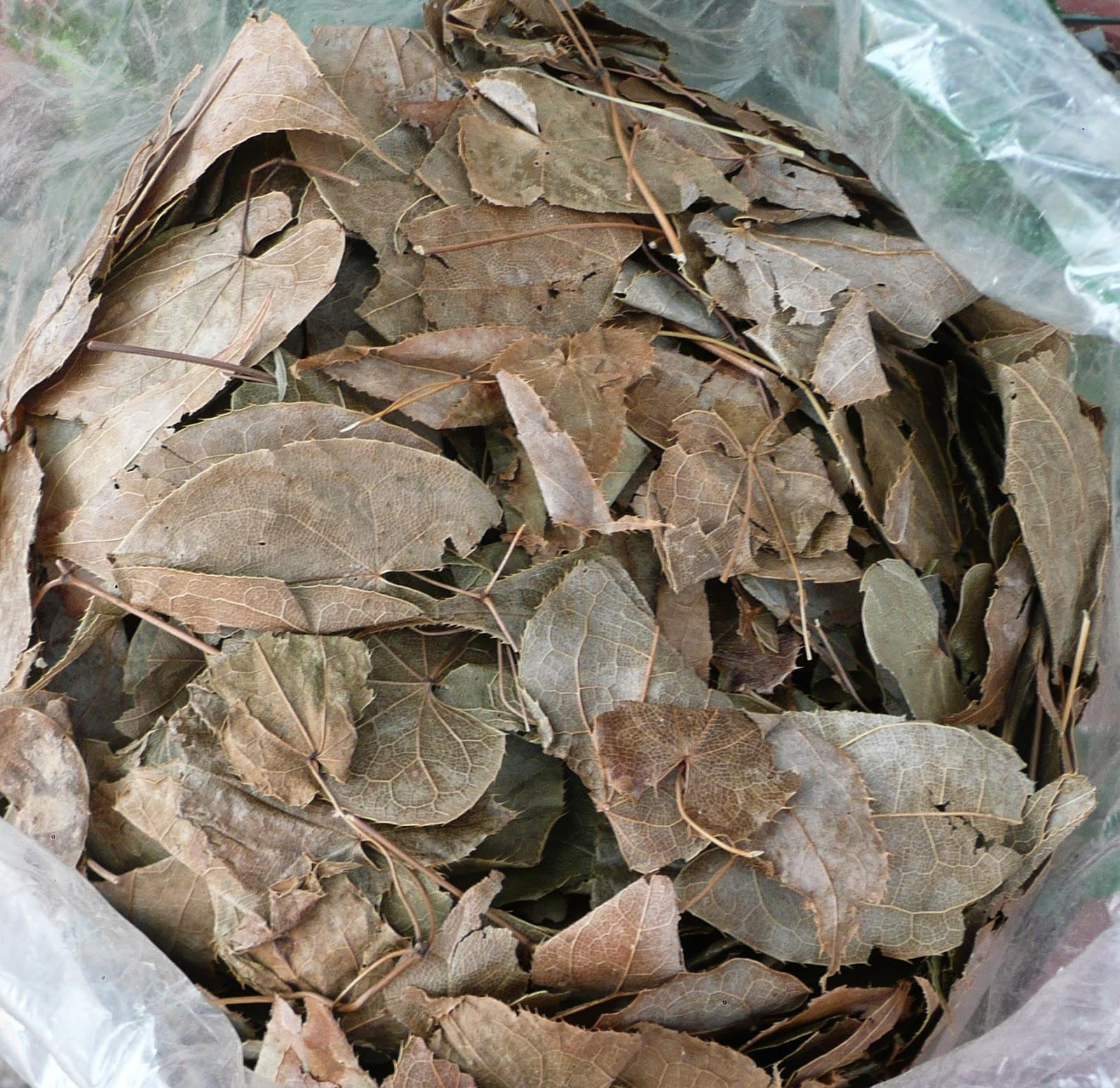 [HCM][Chính hảng] lá dâm dương hoắc (200g khô)