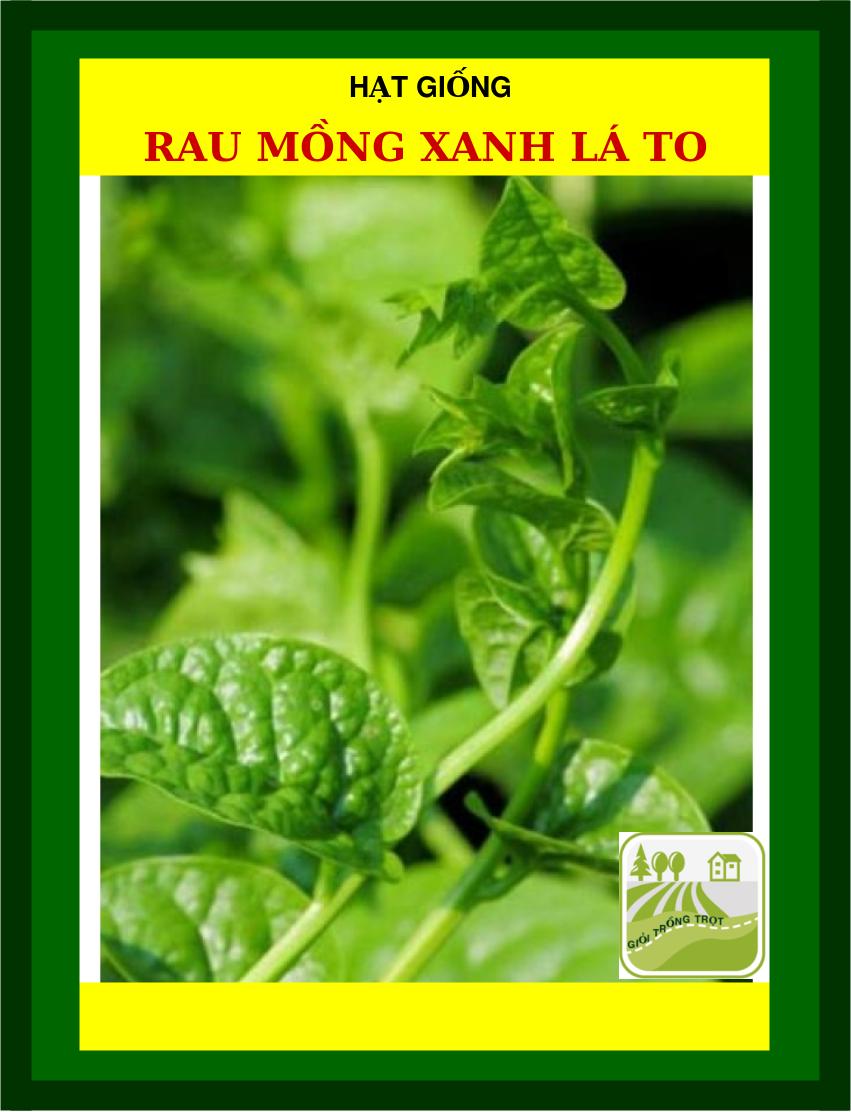 Hạt Mồng Tơi Đỏ, Xanh Lá To 50 Gram