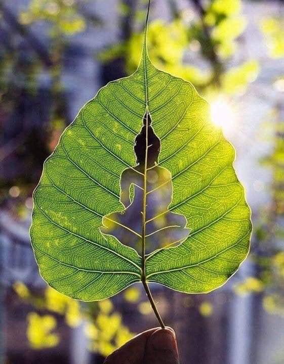xương lá bồ đề cầu bình an