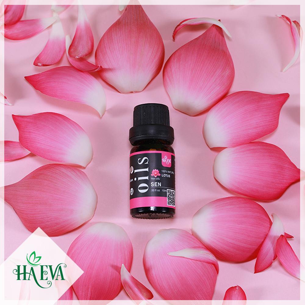 [HCM]Tinh dầu Hoa Sen Haeva 10ml