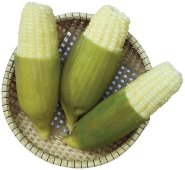 Hạt Giống Bắp Nếp Nù Siêu Dẻo - Gói 100gram