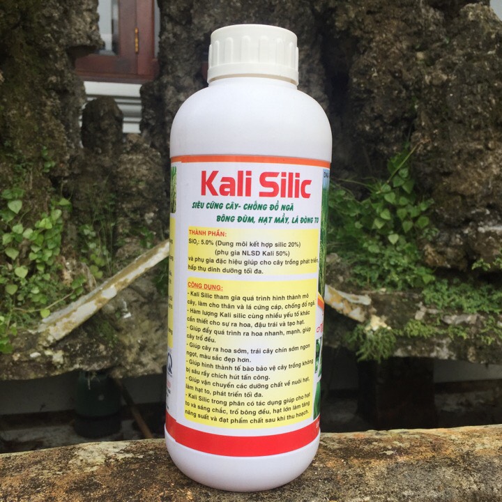 Phân bón Kali Silic 1 lít to hạt, nặng ký, cứng cây