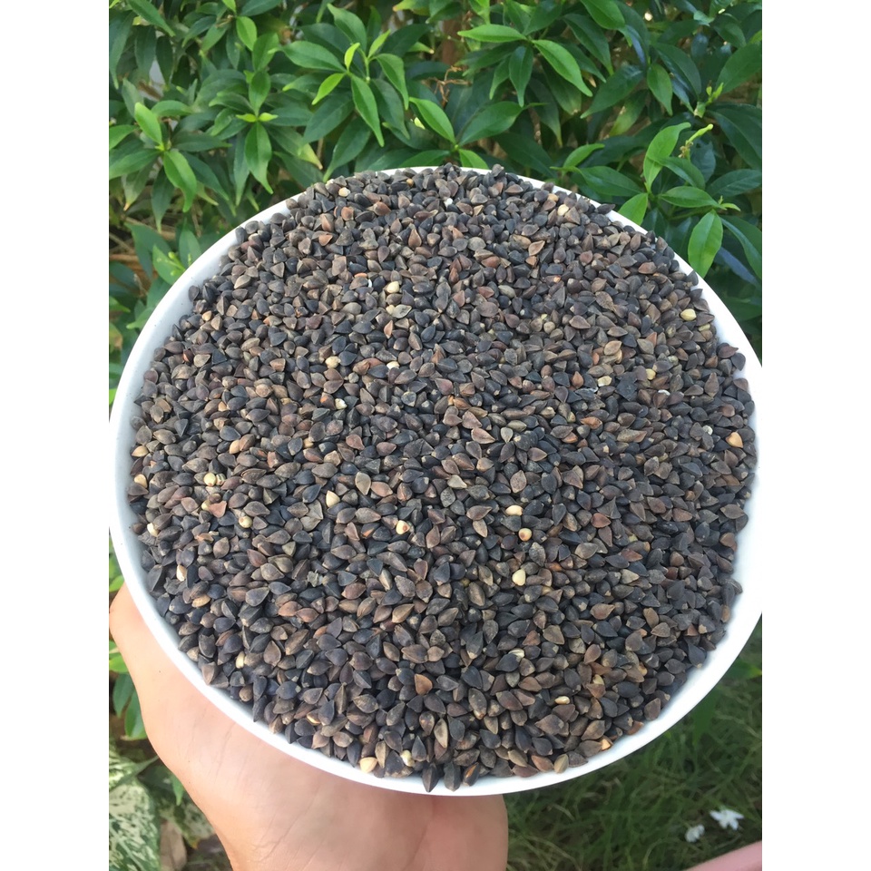 Hạt ba khía cho chim, vẹt, thú cưng bị 500g