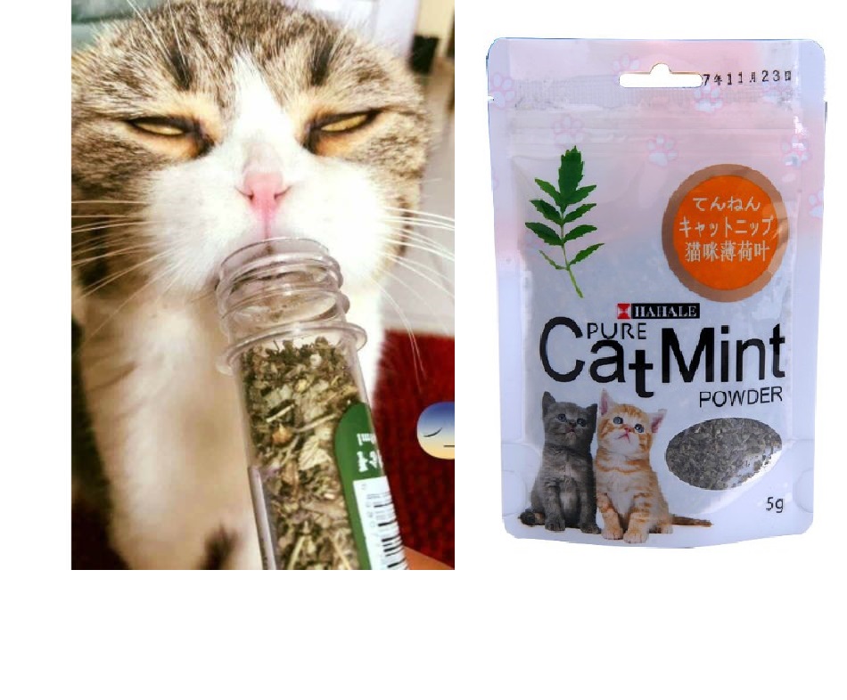 HN- Chống búi lông tắc ruột trên mèo (gói 5gr catmint) Cỏ mèo ngửi Catnip cỏ bạc hà cho mèo phê
