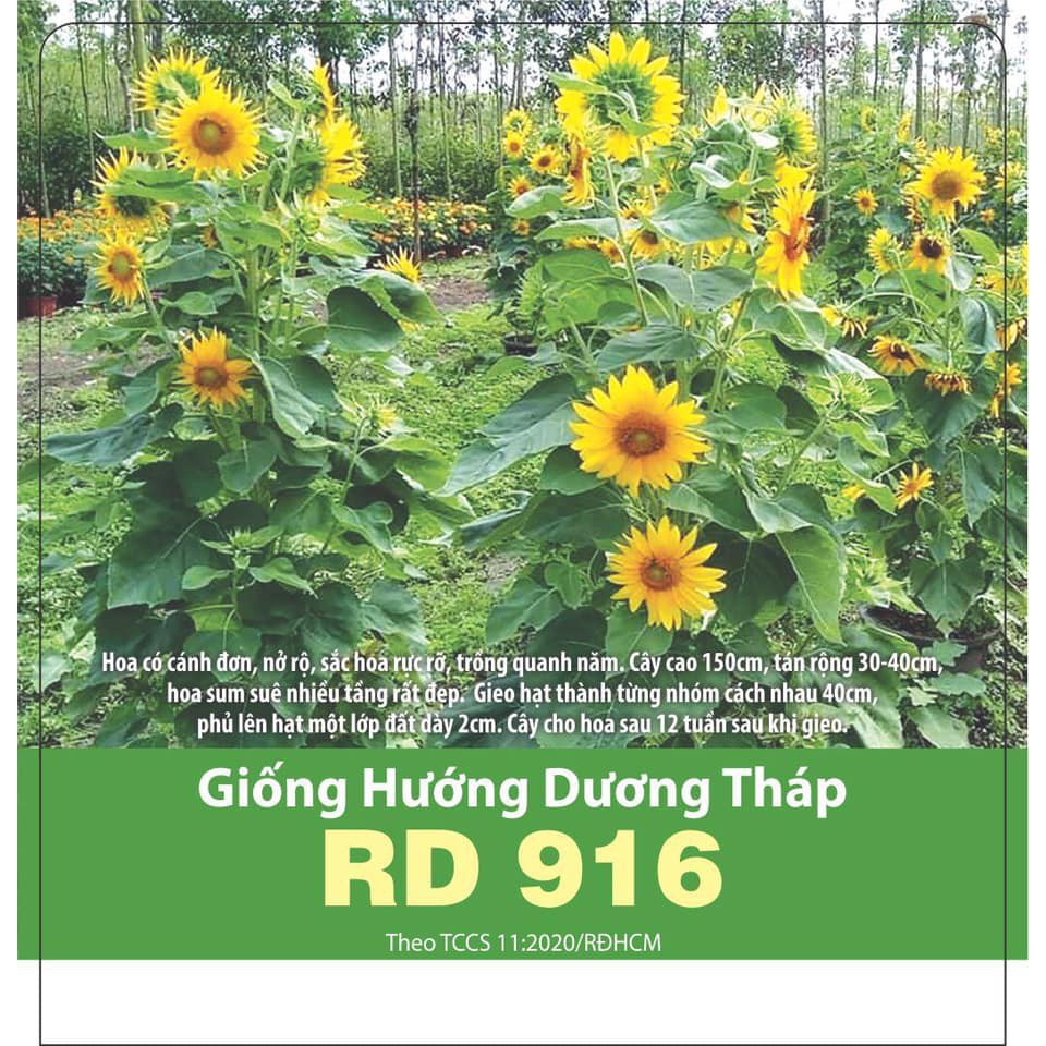 Hạt Giống Hướng Dương Tháp Gói 20 Hạt - RADO 916
