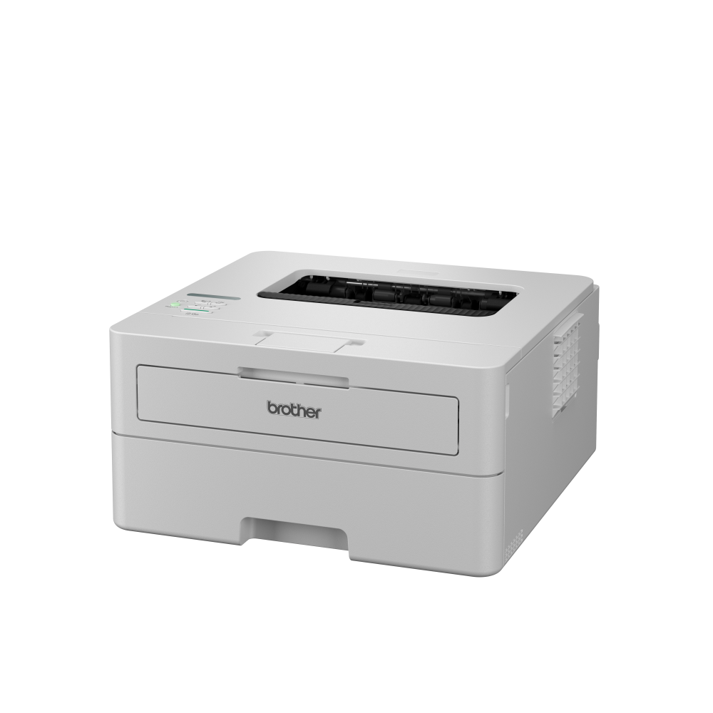 Máy in laser đơn năng trắng đen HL-B2100D
