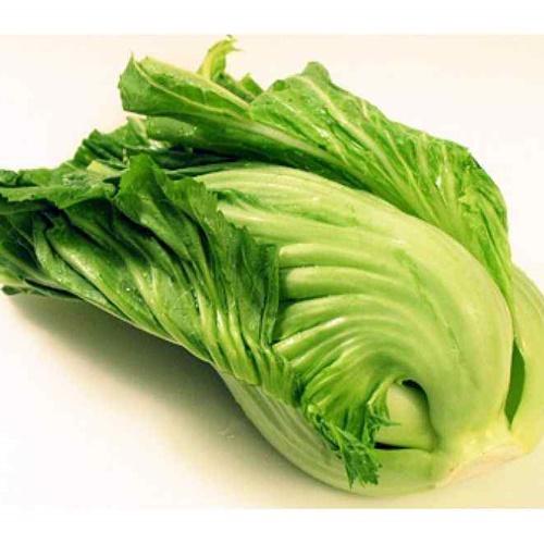Hạt Giống Rau Cải Bẹ Dưa F1. Túi 20 Gram