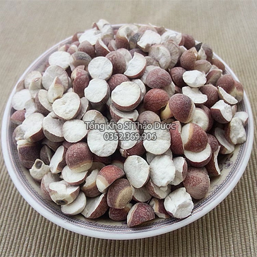 Khiếm Thực 100g (Khiếm Thực To, Sạch)