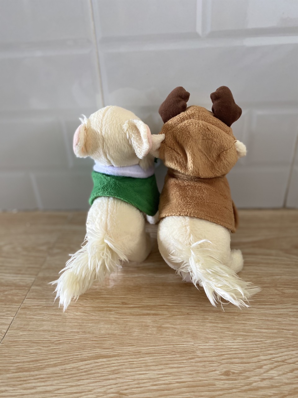 [HCM]Thú bông chó chichihuahua như thật
