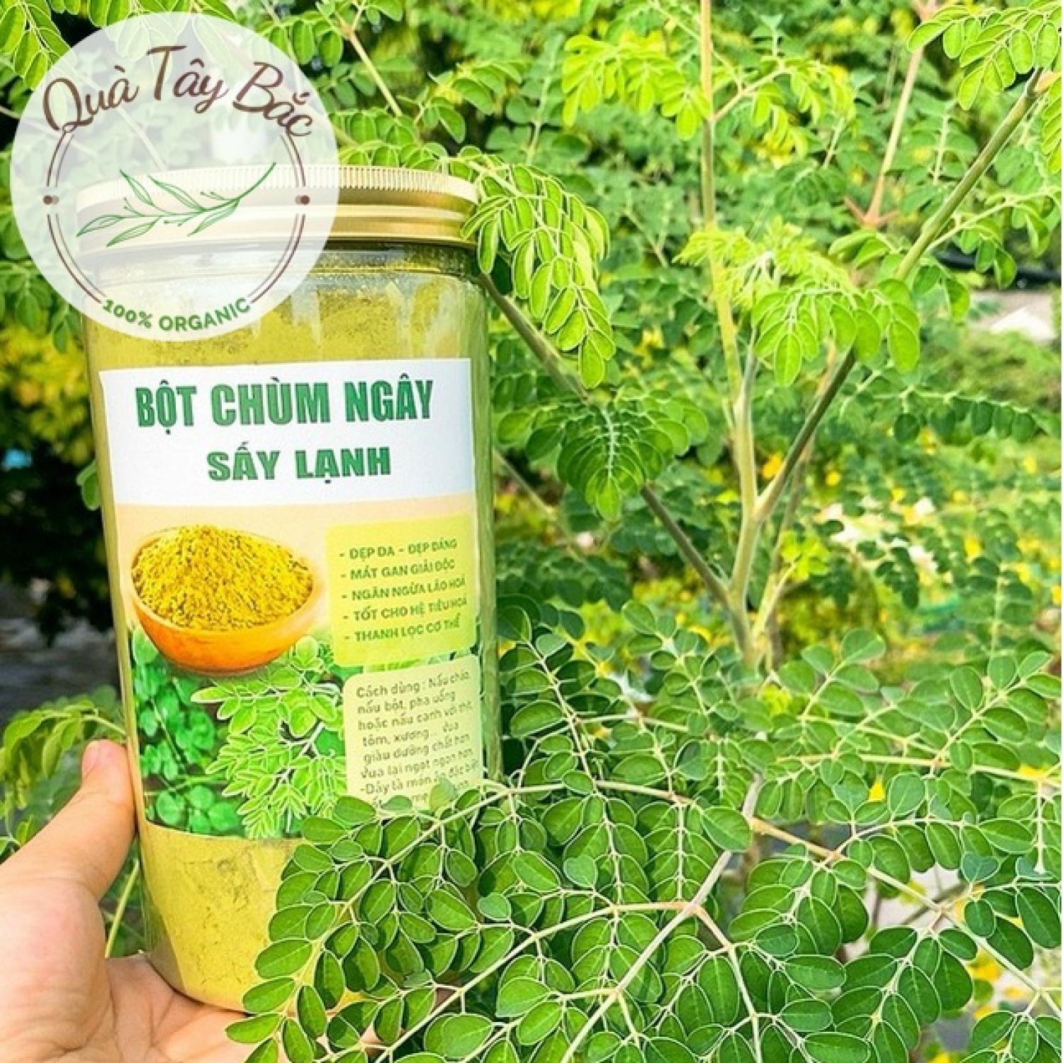 Bột lá chùm ngây nguyên chất sấy lạnh