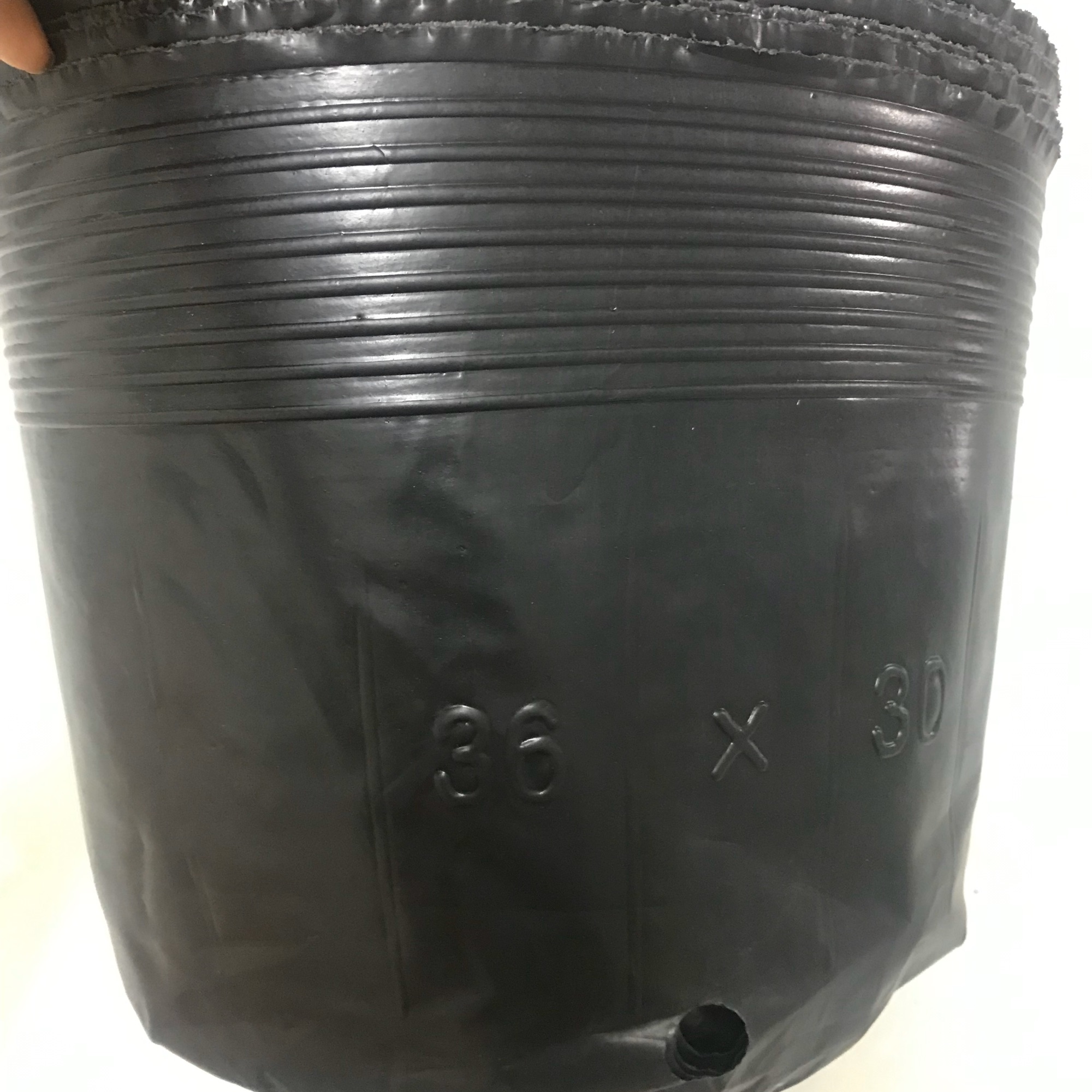 1kg bầu trồng cây 30.36(20 cái/kg)