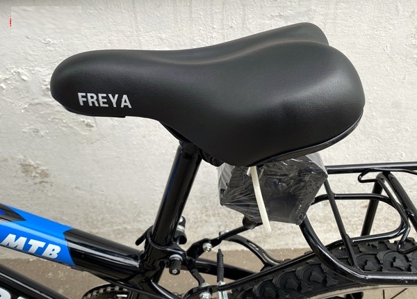 Xe Đạp Thể Thao Trẻ Em Freya - MTB 20"