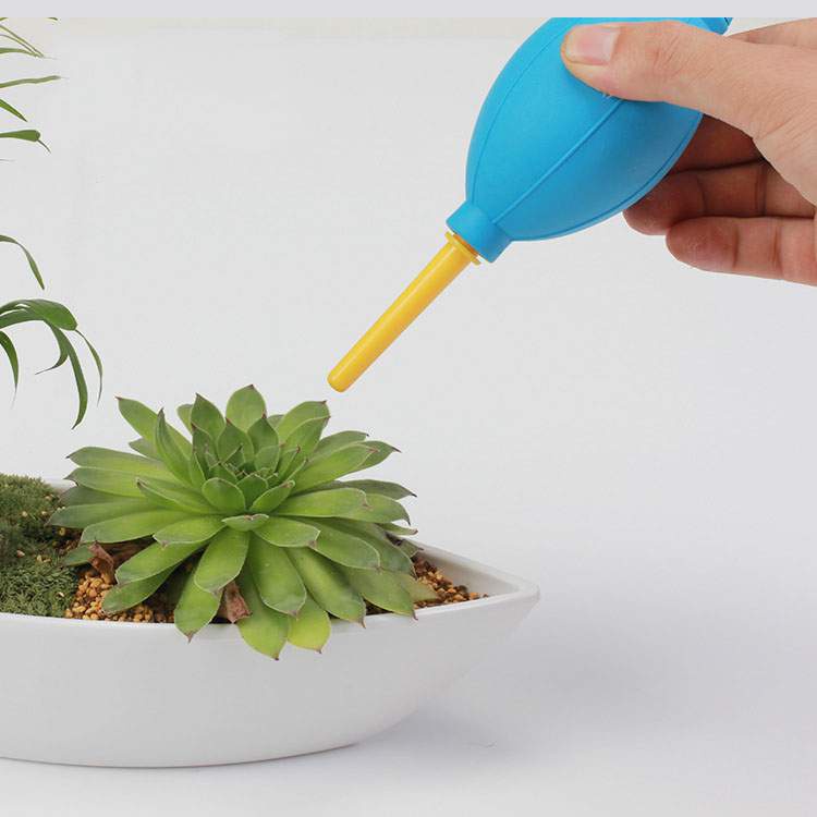 Bộ dụng cụ trồng sen đá 10 món