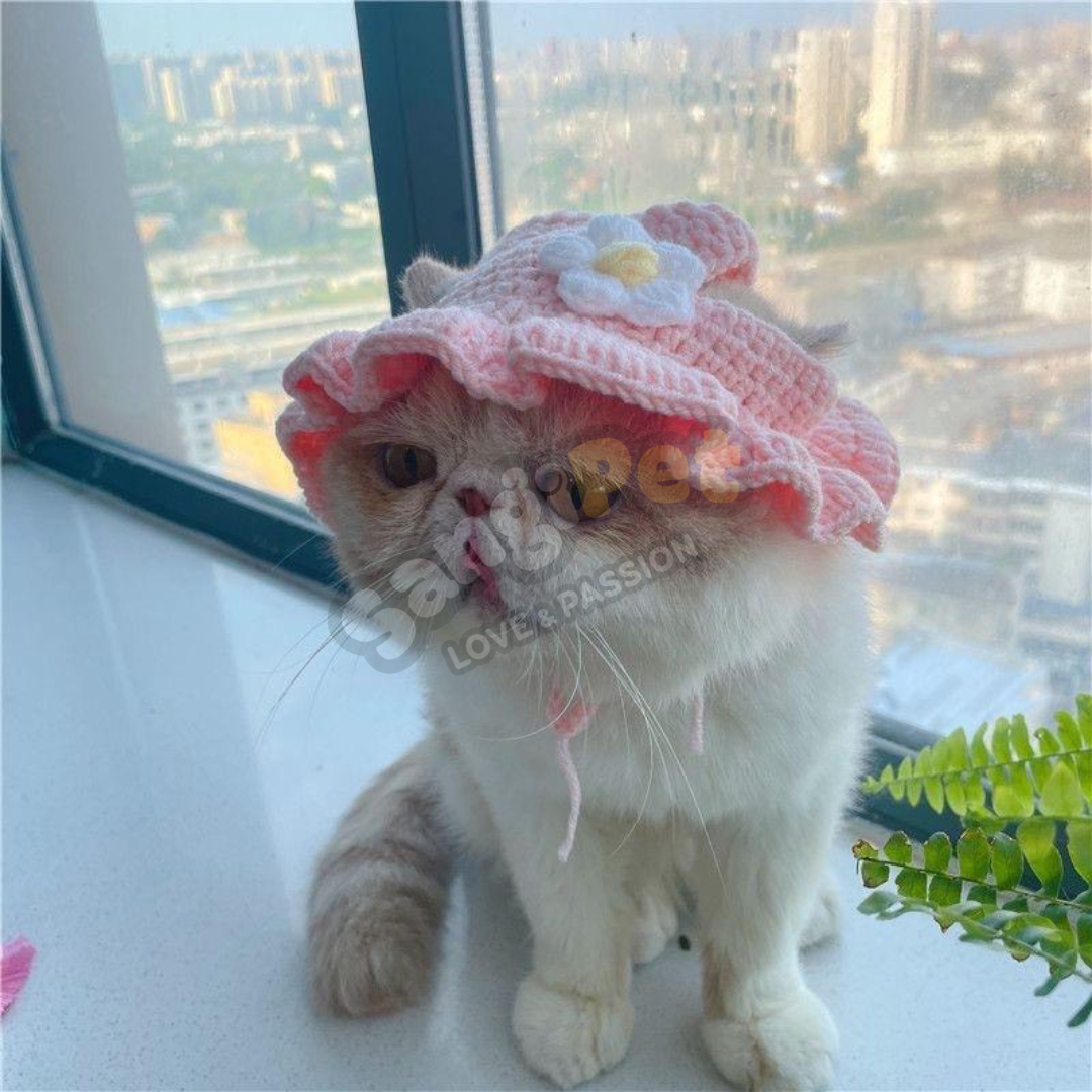 Mũ Cho Mèo Chó, Nón Len (NHIỀU MẪU) Cực Cute Cho Thú Cưng